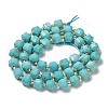 Natural Howlite Beads Strands G-E604-C01-3