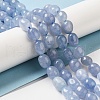 Natural Malaysia Jade Beads Strands G-I283-H10-02-2