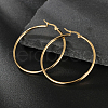 Simple Stainless Steel Hoop Earrings TR8075-3