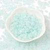 Frosted Glass Beads FGLA-D300-01B-2