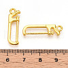 Alloy Pendants PALLOY-N176-123G-3