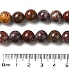 Natural Ocean Jasper Beads Strands G-H298-A13-04-5