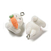 Flocky Resin Pendants RESI-D012-01G-2