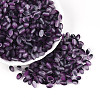 Frosted Glass Seed Beads SEED-N008-05K-1