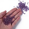 Transparent Czech Glass Seed Beads SEED-N004-005-C02-5