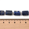 Natural Lapis Lazuli Beads Strands G-Z087-C01-5