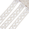 Polyester Hollow Embroidered Lace Trim OCOR-WH0079-13A-1