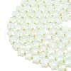 Opalite Beads Strands G-P573-C05-01-3