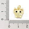 Rack Plating Brass Micro Pave Cubic Zirconia Connector Charms KK-K293-34G-3