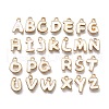 Alloy Enamel Charms ENAM-K075-05KCG-04-1
