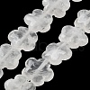 Natural Quartz Crystal Beads Strands G-F769-O01-01-1