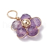 Natural Amazonite & Apatite & Rose Quartz & Amethyst & Red Agate Faceted Round Beaded Pendants PALLOY-JF03606-01-4