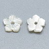 Natural White Shell Beads SSHEL-S260-003-2