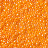 8/0 Czech Opaque Glass Seed Beads SEED-N004-003A-32-4