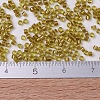 MIYUKI Delica Beads SEED-X0054-DB0909-4