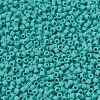 MIYUKI Delica Beads SEED-X0054-DB0759-3