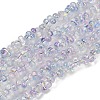 Handmade Lampwork Beads Strands LAMP-S070-12R-1