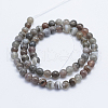Round Natural Botswana Agate Bead Strands G-I166-02-6mm-4