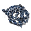 Dyed & Heated Natural Blue Aventurine Chip Beads Strands G-M205-10C-3