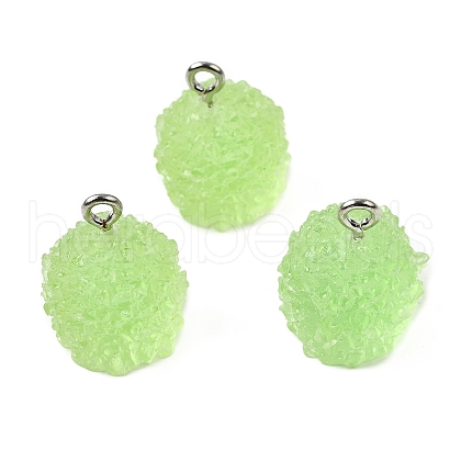 Resin Pendants FIND-U031-11A-P-1