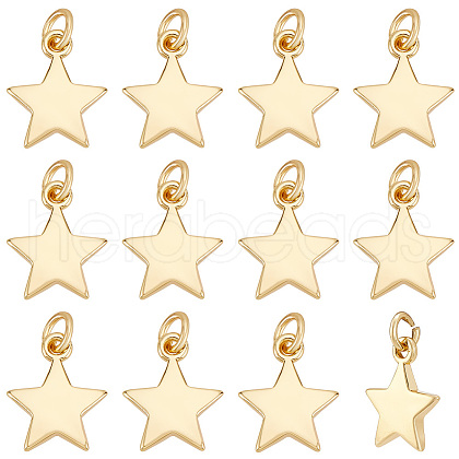 BENECREAT 16Pcs Brass Pendants KK-BC0013-78-1