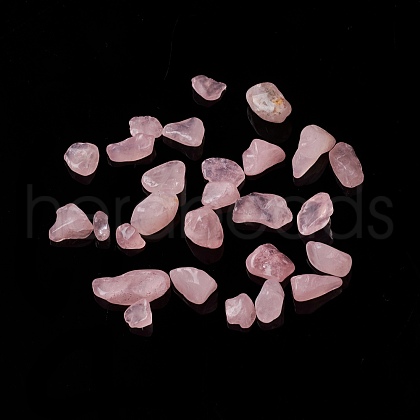 Natural Rose Quartz Chip Beads G-M364-02B-1