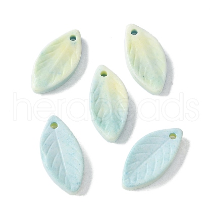 Natural Rainbow Alashan Agate Pendants G-G194-03D-1