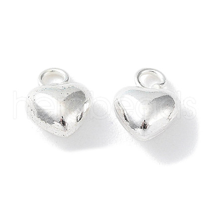925 Sterling Silver Charms STER-H106-01D-S-1