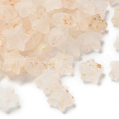 Frosted Acrylic Charms OACR-M023-04E-1