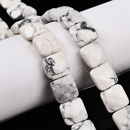 Natural Howlite Beads Strands G-T138-157-1