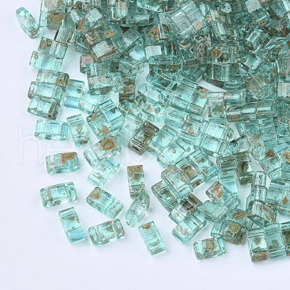 2-Hole Transparent Glass Seed Beads SEED-S023-30B-21-1