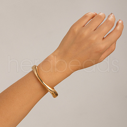 Alloy Bangles WGA0230-09-1