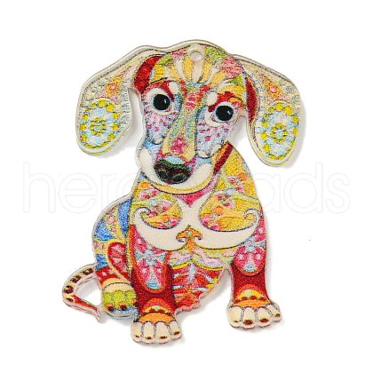 Animal Theme Double-sided Printed Acrylic Pendants OACR-L017-04D-1