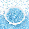 Glass Seed Beads SEED-N007-01D-2
