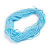 Hollow Nylon Braided Rope NWIR-WH0009-19B-1