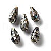 Natural Paua Shell Beads SSHEL-B002-10A-02-1