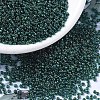 MIYUKI Round Rocailles Beads SEED-G007-RR0338-3