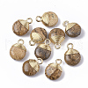 Natural Picture Jasper Pendants G-S359-021D-1