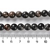 Dyed Natural Regalite/Imperial Jasper/Sea Sediment Jasper Beads Strands G-B124-C01-01-5