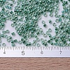 MIYUKI Delica Beads X-SEED-J020-DB0060-4