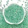 6/0 Spray Paint Glass Seed Beads X1-SEED-H003-11L-3