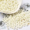 6/0 Glass Seed Beads SEED-M012-01A-10-1