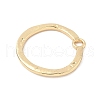 Alloy Pendants PALLOY-F316-01A-G-2