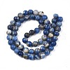Natural Sodalite Beads Strands G-S279-10-6mm-3