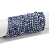 Natural Blue Spot Jasper Beads Strands G-A252-A02-4mm-2