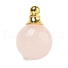 Natural Rose Quartz Perfume Bottle Pendants G-K338-22G-02-1