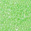 Imitation Jade Glass Seed Beads SEED-Z001-A-A14-3