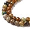 Natural Yellow Chrysocolla Beads Strands G-H298-A07-01-4