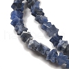 Natural Sodalite Beads Strands G-G085-B18-01-3