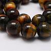 Natural Tiger Eye Bead Strands G-P230-05-10mm-3